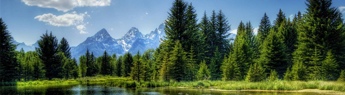 2000年8月被國家機械工業局《中國汽車報》推薦為氣門彈簧生產行業五強之一